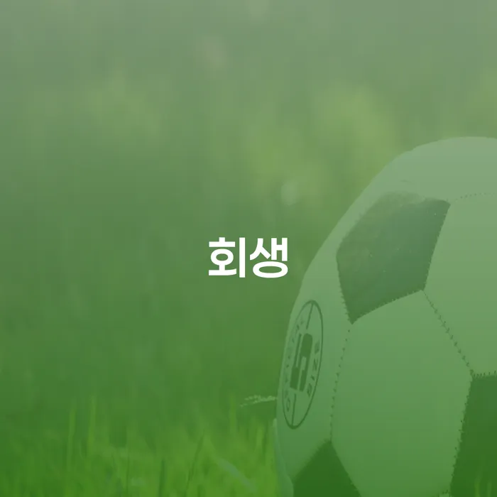 빚청산 빚 합법적인 빠른방법 선택의 조건
