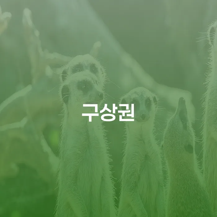 나홀로개인회생 개인회생 다른방법이