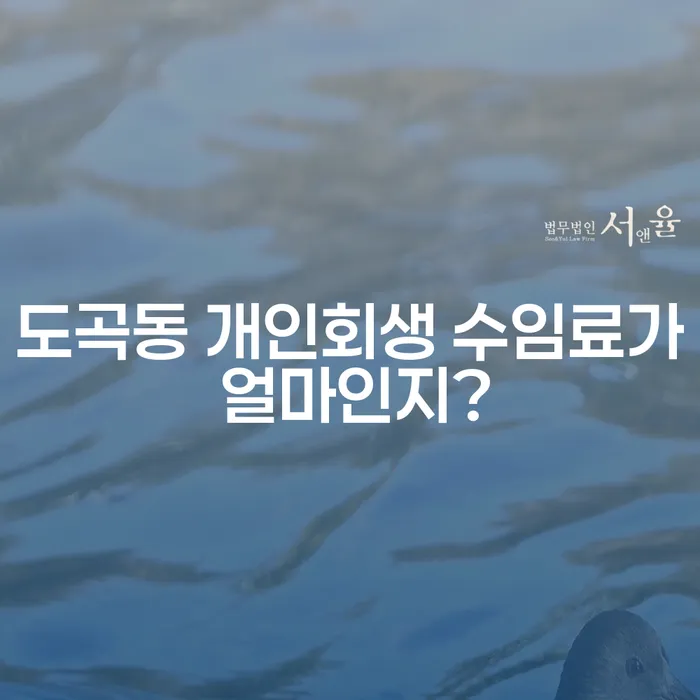 도곡동 개인회생 수임료가 얼마인지?
