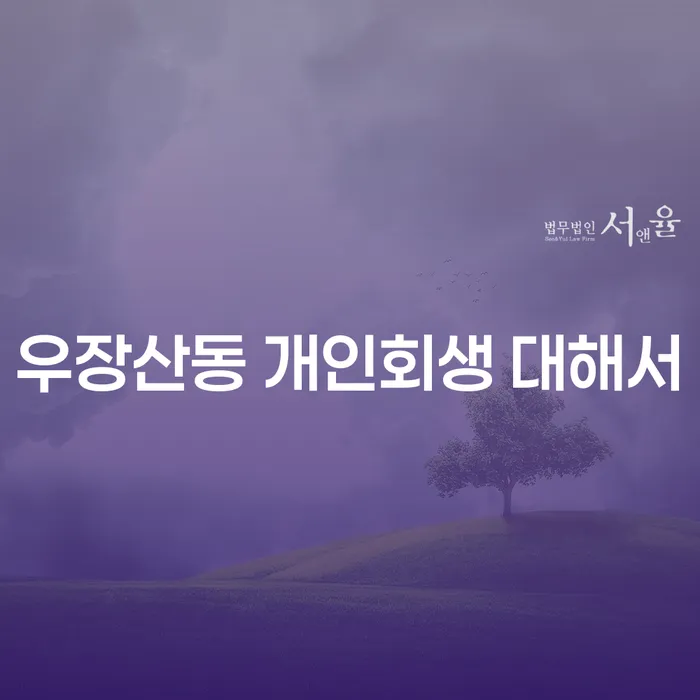 우장산동 개인회생 대해서