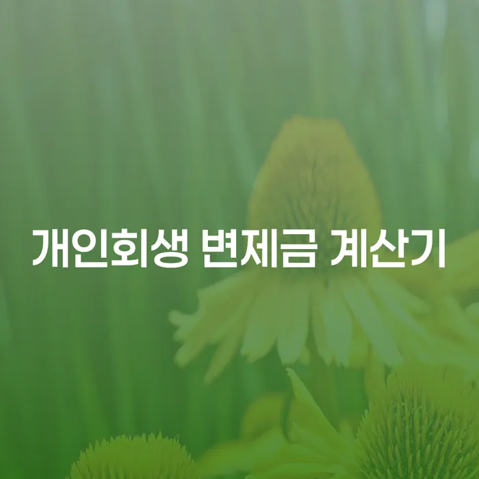 개인회생 변제금 계산기: 나의 부채 문제를 해결하는 방법은 무엇일까?