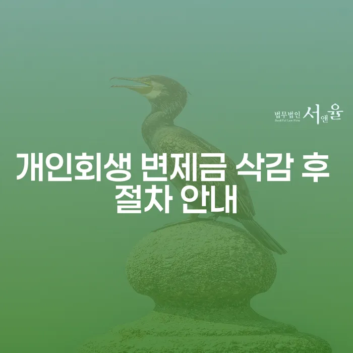 개인회생 변제금 삭감, 절차를 알고 계신가요?