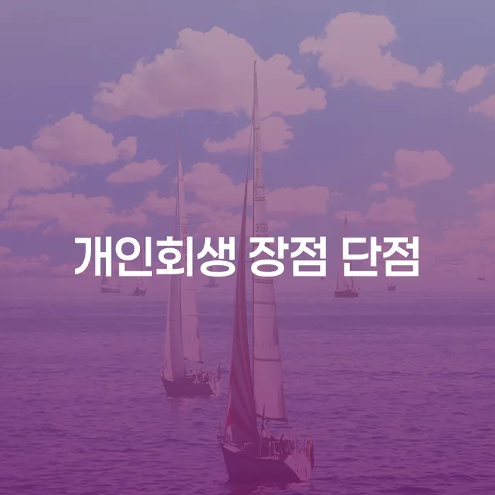 서초동 개인회생의 장점과 단점, 어떤 선택이 나에게 유리할까?