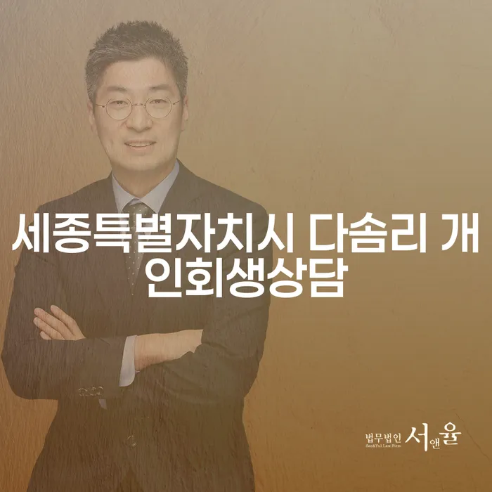 세종특별자치시 다솜리에서 개인회생 상담을 통해 새로운 시작을 어떻게 준비할 수 있을까요?